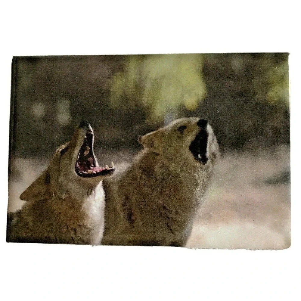 Collectible Photo Magnet Frank Balthis Photography 2 x 3
